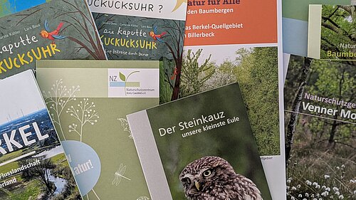 Flyers NZ Coesfeld