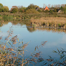 Eine der drei flach überstauen Wasserflächen.