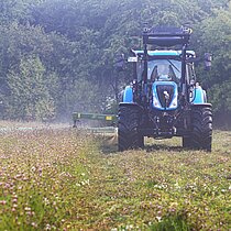 Im August: Mahd einer geeigneten, artenreichen Spenderfläche.