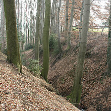 Eingeschnittenes Kerbtal im Wald.