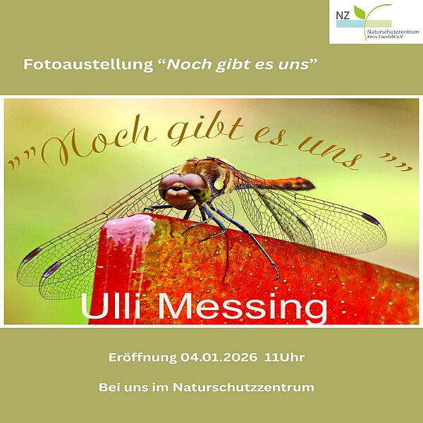 🦋 Neue Ausstellung bei uns im Naturschutzzentrum 🌿Vom 04.01.2026 bis 29.03.2026 zeigen wir auf dem&hellip;
