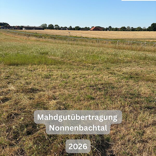 Instagram Post 18220263799337397 Mahdgutübertragung im Nonnenbachtal 🌸Vor kurzem haben wir wieder eine Mahdgutübertragung im…