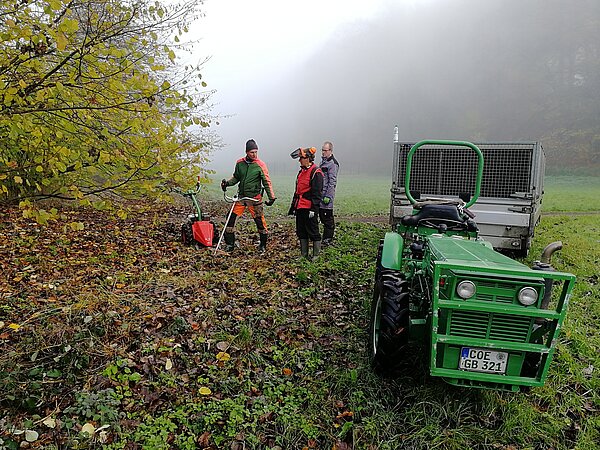 Arbeitseinsatz mit dem Freischneider und dem Einachsmäher