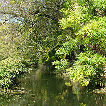 Varlarer Mühlenbach