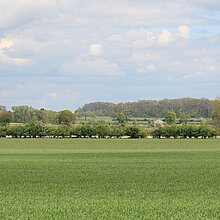 Ausblick im NSG Ichterloh