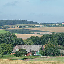 Flach wellige Landschaft der Coesfeld-Daruper Höhen.