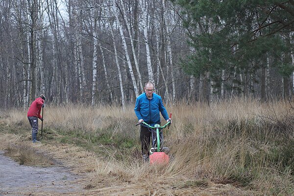 Heidepflege im Venner Moor