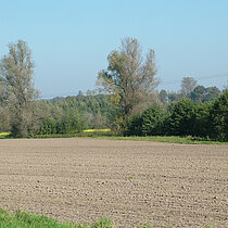 Feld und Feldrain