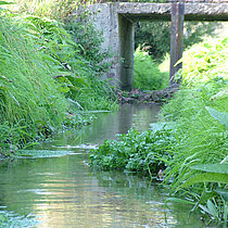 Bach mit Wasserregulierung.
