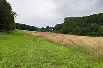 Blick auf die Schmittler Fläche