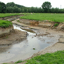 Renaturierter Abschnitt des Welter Baches.