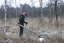 Entkusselung im Venner Moor.