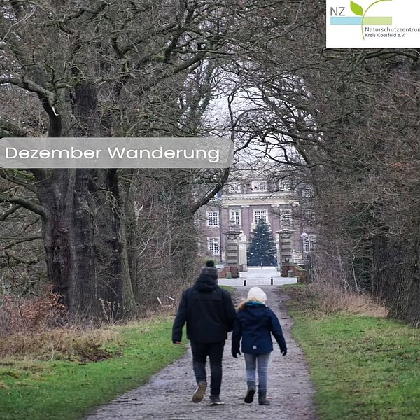 ✨Es wird weihnachtlich im Münsterland!✨Als letzte Wanderung in diesem Jahr stellen wir euch heute&hellip;