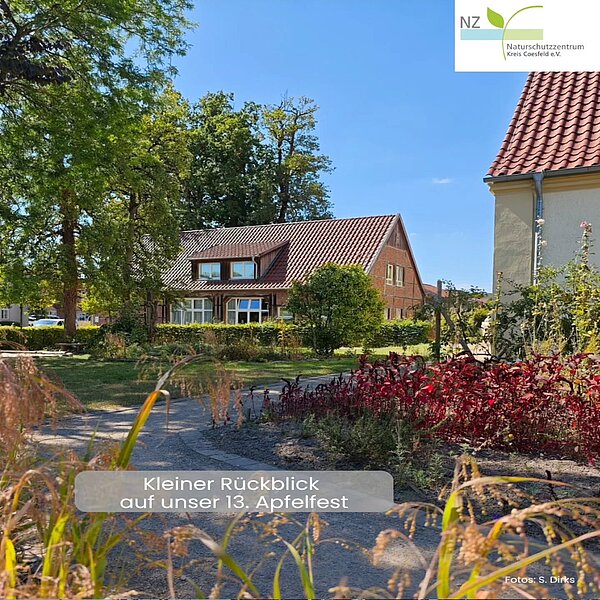 🍏🍎👀Heute haben wir einen kleinen Rückblick auf unser traditionelles Apfelfest in diesem Jahr für&hellip;