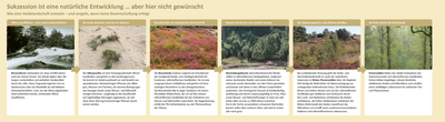 Infotafel: Sukzession