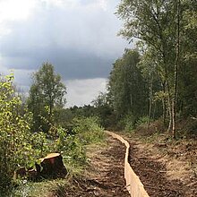 Maßnahmen im Torfstich 1: Einbau Nut und Federbohlen aus Douglasie (2,50 x 0,20 x 0,60) mit Schreitbagger.