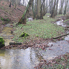 Überschwemmte Deipe Bieke