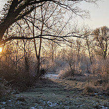 NSG Plümer Feld im Winter