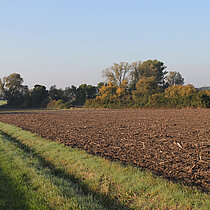 Gepflügter Acker im Herbst.