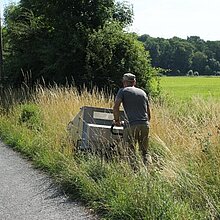 Wiesefix-Ernte an einem artenreiche Wegrand.