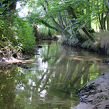 Karthäuser Mühlenbach