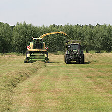 Das Mahdgut wird auf einen Anhänger verladen.