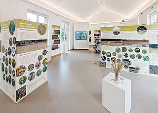 Ausstellungsraum