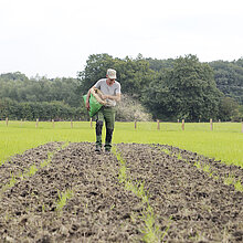 Saatgut vom Wiesefix