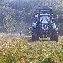 Im August: Mahd einer geeigneten, artenreichen Spenderfläche.