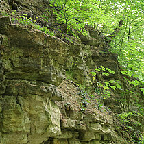 Steinbruchwand