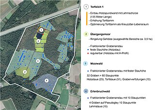 Maßnahmenkarte des Venner Moors im Projekt "Fit für den Klimawandel", 2014-18.