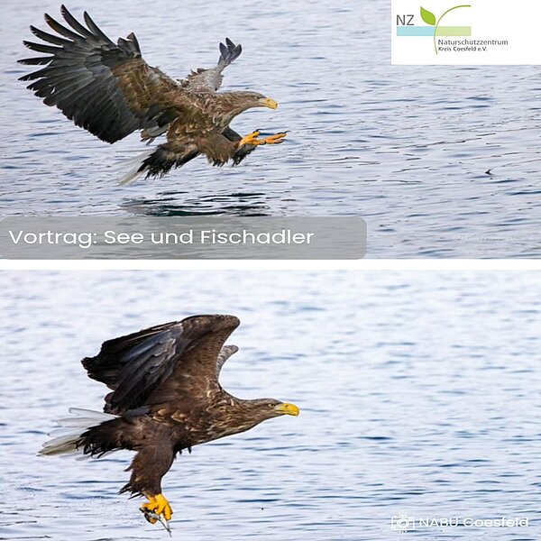 Ein spannender Vortrag erwartete die rund 20 Gäste am Dienstag Abend bei uns im Naturschutzzentrum&hellip;