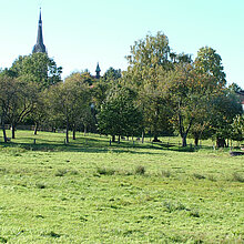 Blick auf Seppenrade.