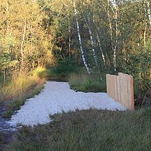 Maßnahmen am Torfstich 1: Ausbesserung des Torfdamms mit Sand.