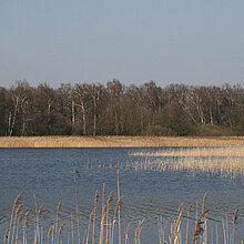 Heideweiher