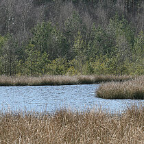 NSG Heidesee