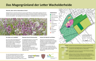 Infotafel: Magergrünland