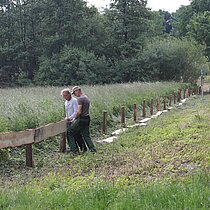 Zaunbau