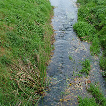 Flusslauf