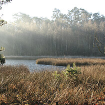 NSG Heidesee