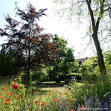 Naturnaher Garten des Alten Hof Schoppmann