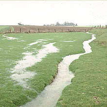 Wiese mit zahlreichen Flutrinnen.