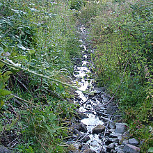 Teiche Asbecker Mühlenbach