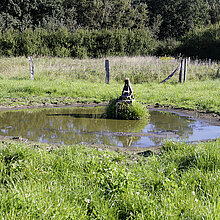 Weide – Tränke mit Trittspuren