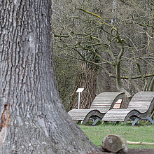 Bänke auf dem Picknickplatz.