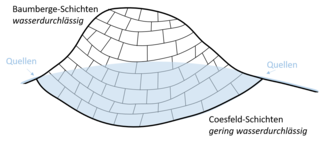 Die Baumberge weisen einen besonders hohen Quellreichtum auf: Insgesamt gibt es mehr als 100 Grundwasseraustritte, die neben der Berkel auch Münsterische Aa, Stever, Steinfurter Aa und Vechte speisen. Sie fließen in alle Himmelsrichtungen. Die sogenannten Coesfeld-Schichten stauen das Wasser unterirdisch. Die Quellen entstehen an dem oberflächennahen Übergang zu den unteren Baumberge-Schichten als „Überlauf“ auf allen Seiten der Baumberge. Quellen der Baumberge