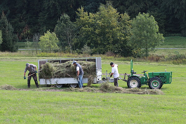 Mahdgutverteilung im Nonnenbachtal.