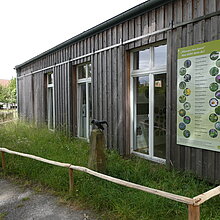 Eine echte Glatthaferwiese als Exponat - Das "Pflanzen Live Event" - zur Ausstellung "Wo die wilden Pflanzen leb(t)en" im Naturschutzzentrum, 2024.