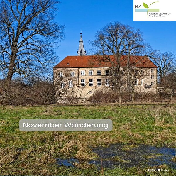 Von Burg zu Burg führt euch unser kleiner Novemberspaziergang in der Stadtlandschaft in&hellip;