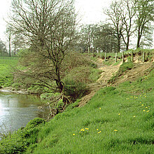 Abbruchkanten an der Berkel